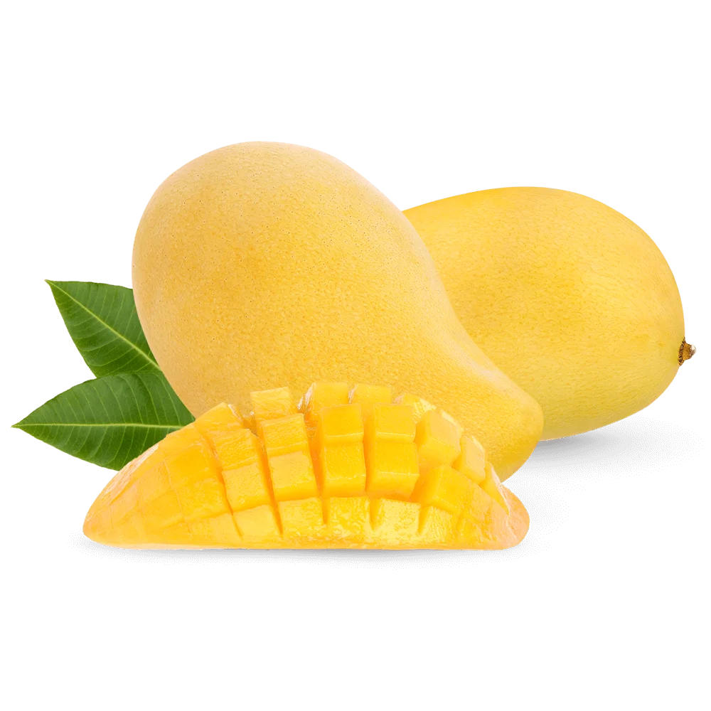 Mango From Vietnam Soft Dried Mango Cheap Price Ms Jennie