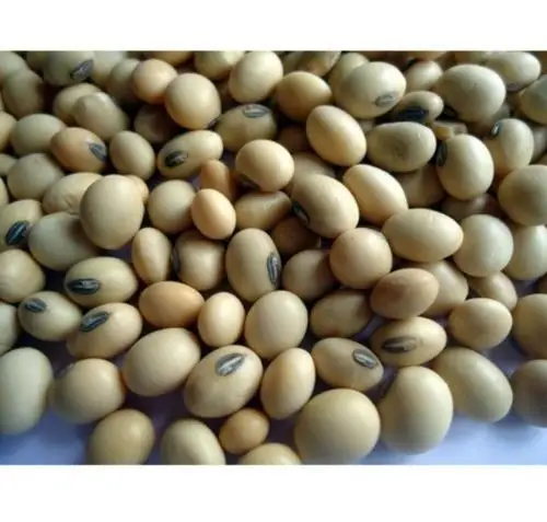 soya-beans-250gms-500x500.jpg