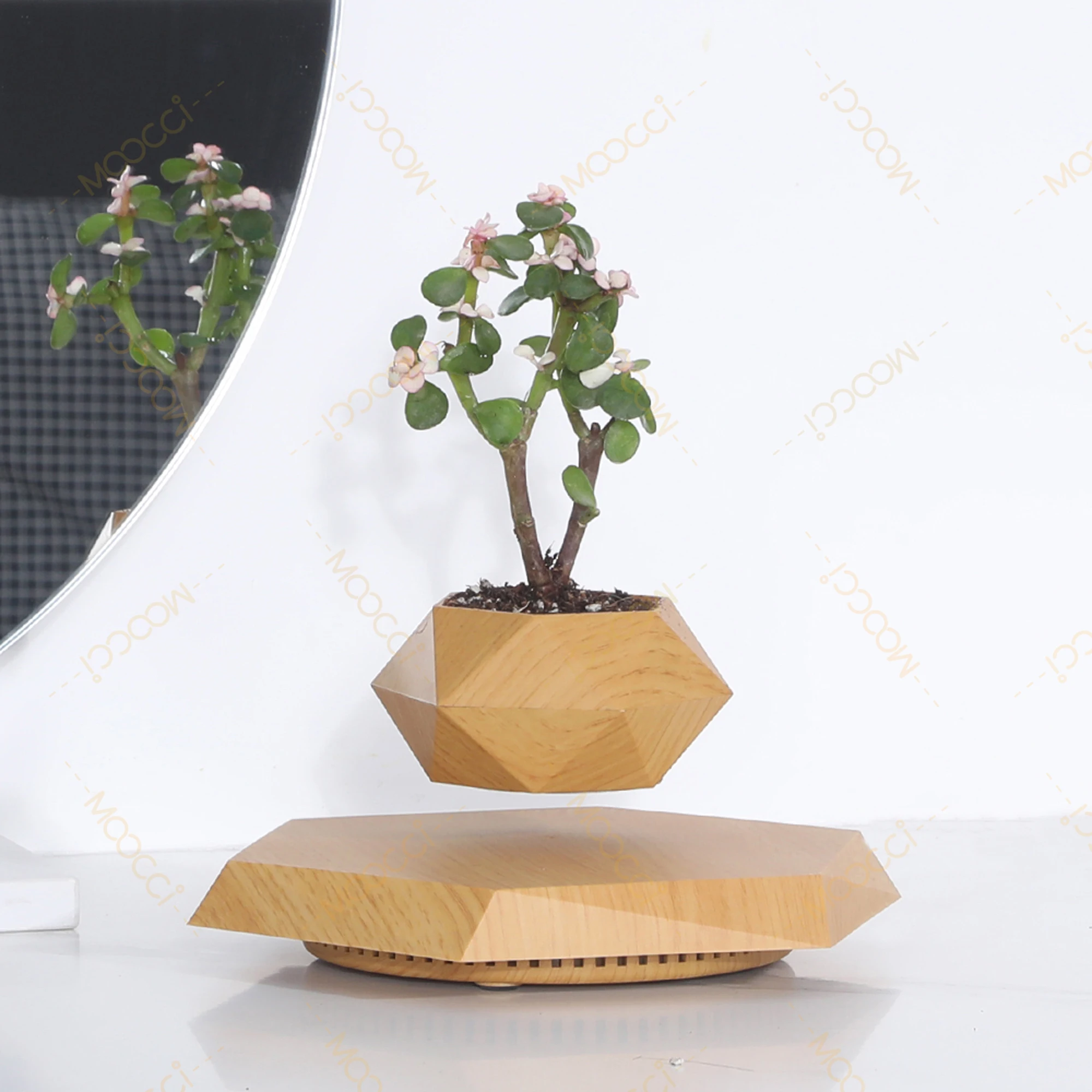 Flying Plant Pot (8)
