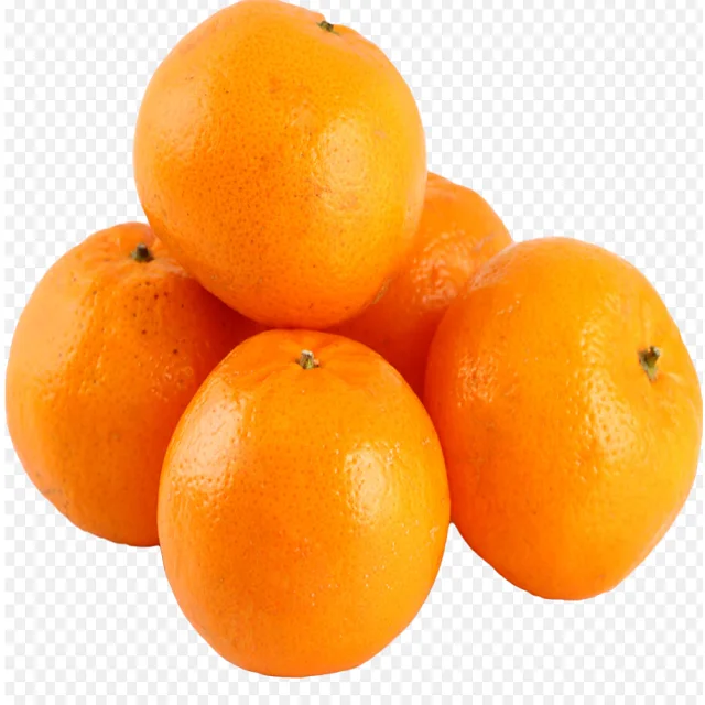 Wholesale Frozen Fresh Mandarin Citrus Orange Navel Oranges Valencia