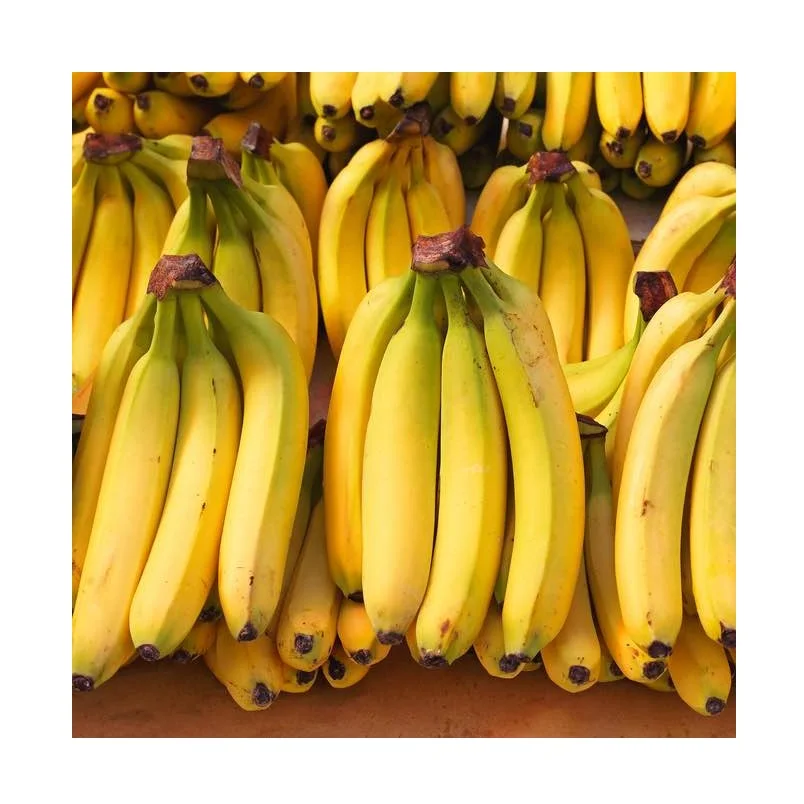 Fresh Bananas Green Cavendish Banana Suppliers Buy High Quality Fresh