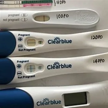 Clearblue Pregnancy Test.1.jpg