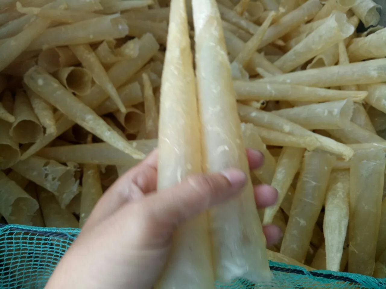 Dried Fish Maw6.jpg