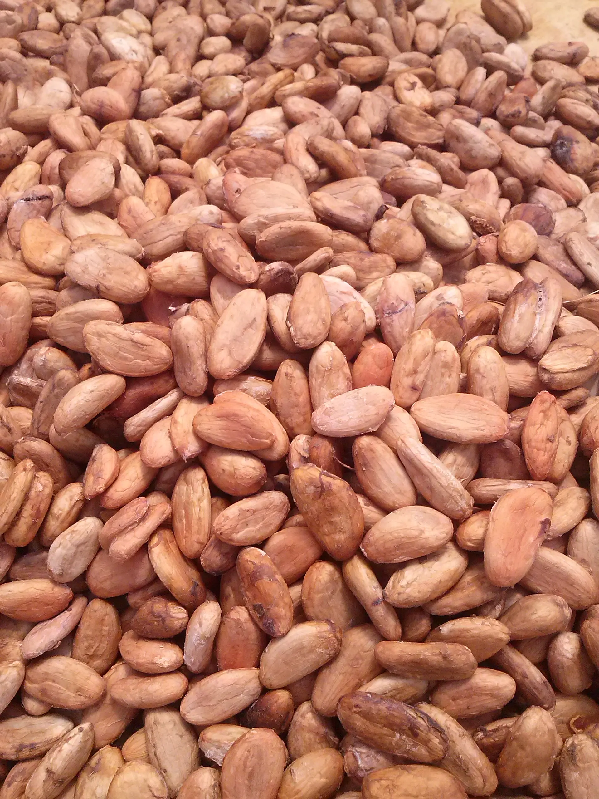 Roasting Cocoa Beans 03.jpg