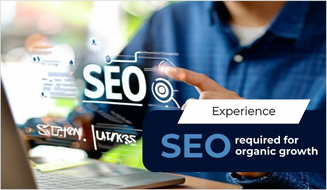 为银行业和金融业网站的有机增长和增加有机增长提供seo服务