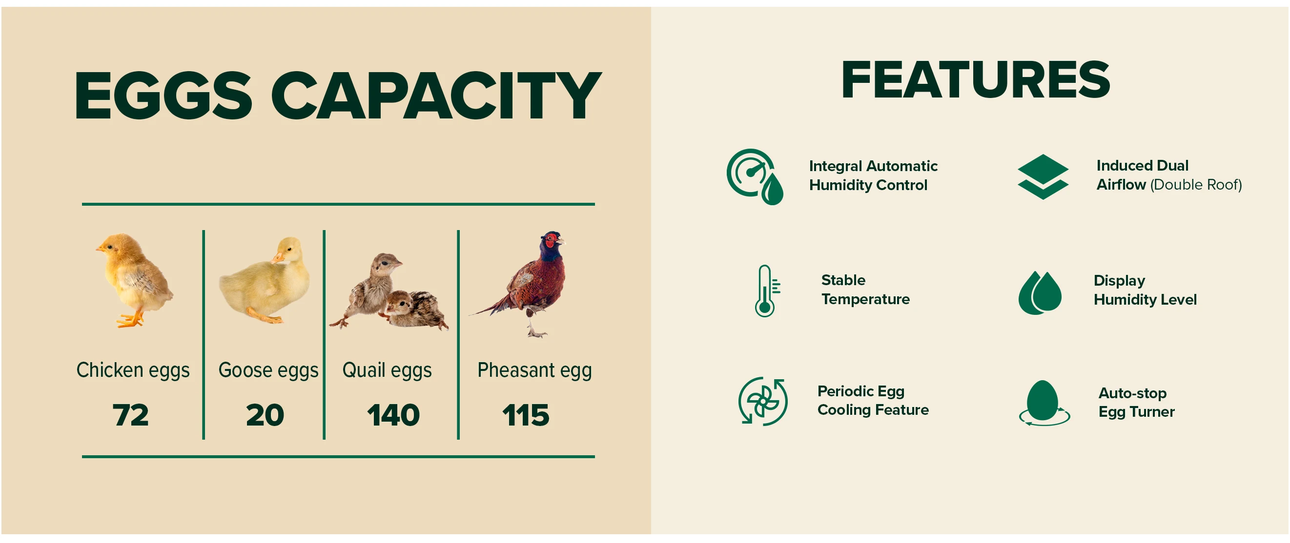 Eggs Capacity and Fan, PROFI, C-72 - detail 12