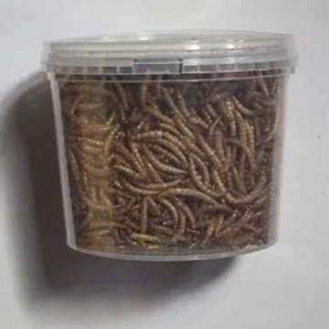 Dried Mealworm.10.jpg