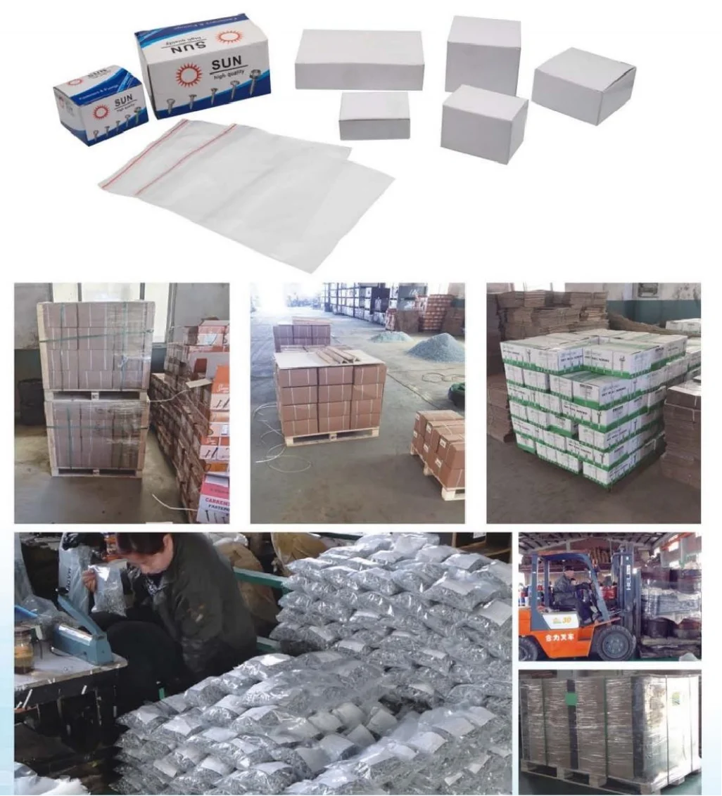 Corrosion Resistant Roofing Nails