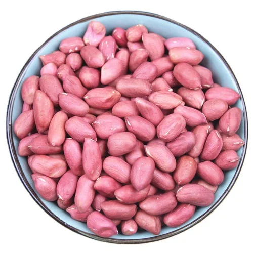 Wholesale Peanuts Organic Peanut Kernels Best Price Raw Peanuts for Healthy Snacks