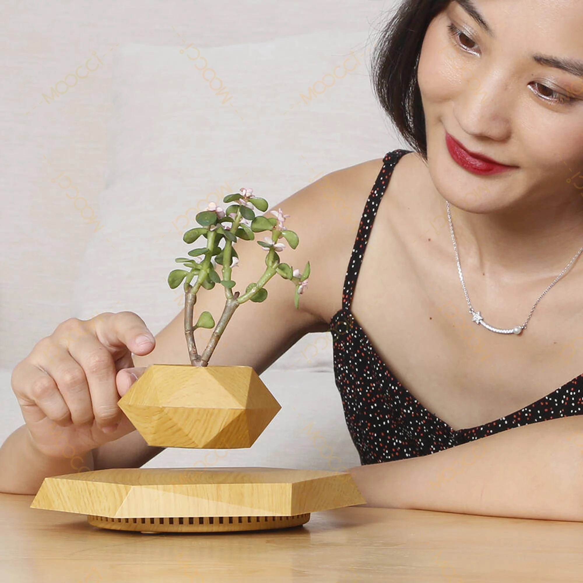 Flying Plant Pot (12)