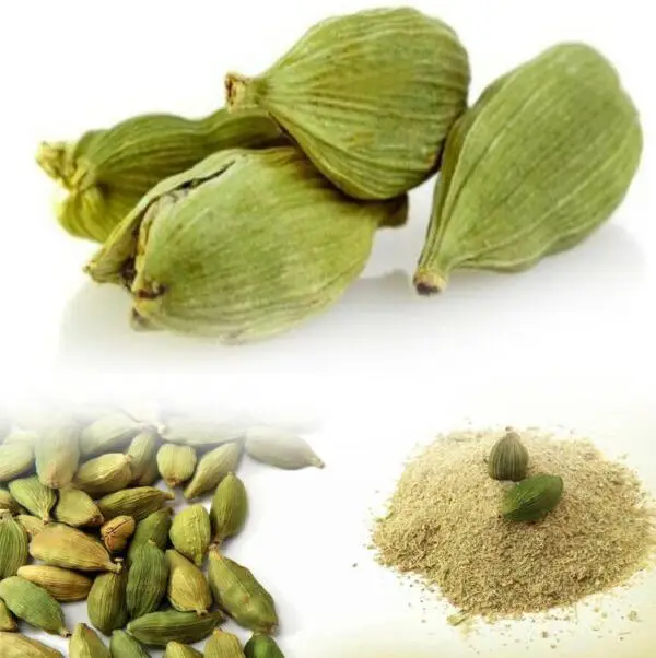 2023 Best Quality Fresh Green Cardamom Elachi Spice For Wholesale Green