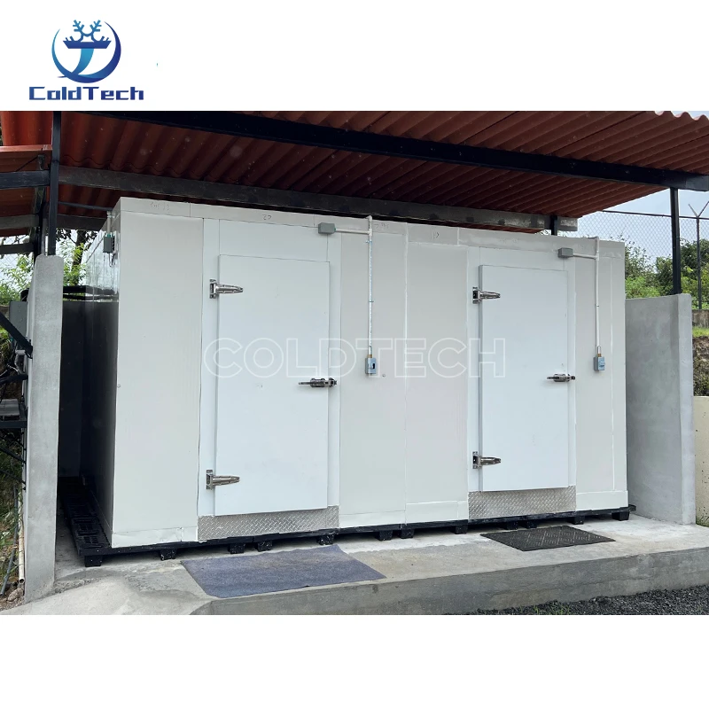 Freezer, 10*8*8Ft, 220V, R404a - detail 4