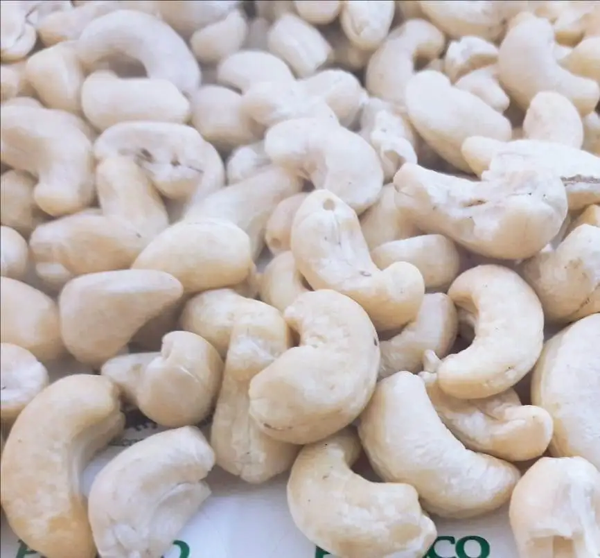 Cashew nuts w240    01.jpeg