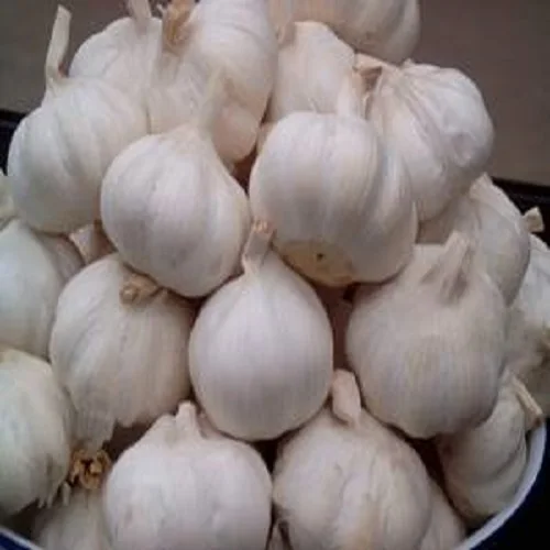 Preserved White Garlic Buy Fresh White Garlic Natural Fresh Garlic