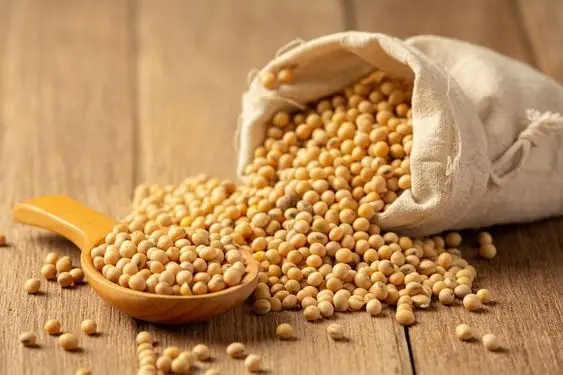 soybeans 9.jpg