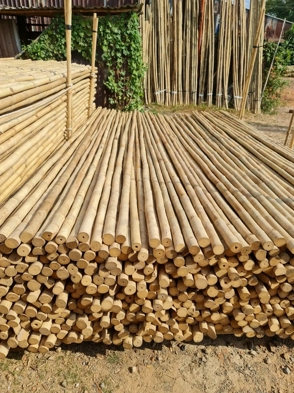 Bamboo Furniture Poles High Quality Big Diameter For Decor And