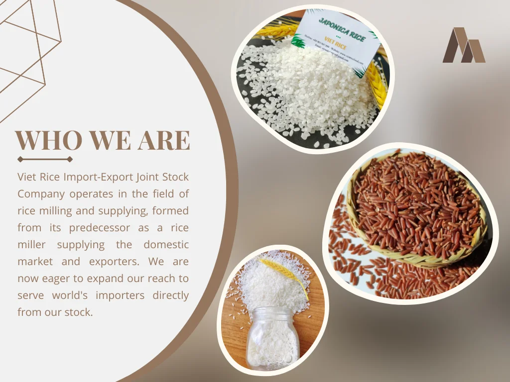 High Quality White Rice Jasmine Rice Produced From Vietnam Manufacturer