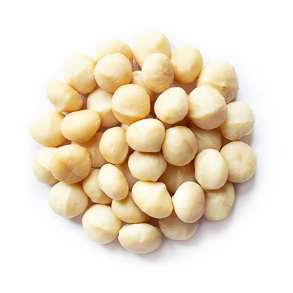 500g Shelled Dried GMO Macadamia Nuts Rich Nutrition Wholesale Prices