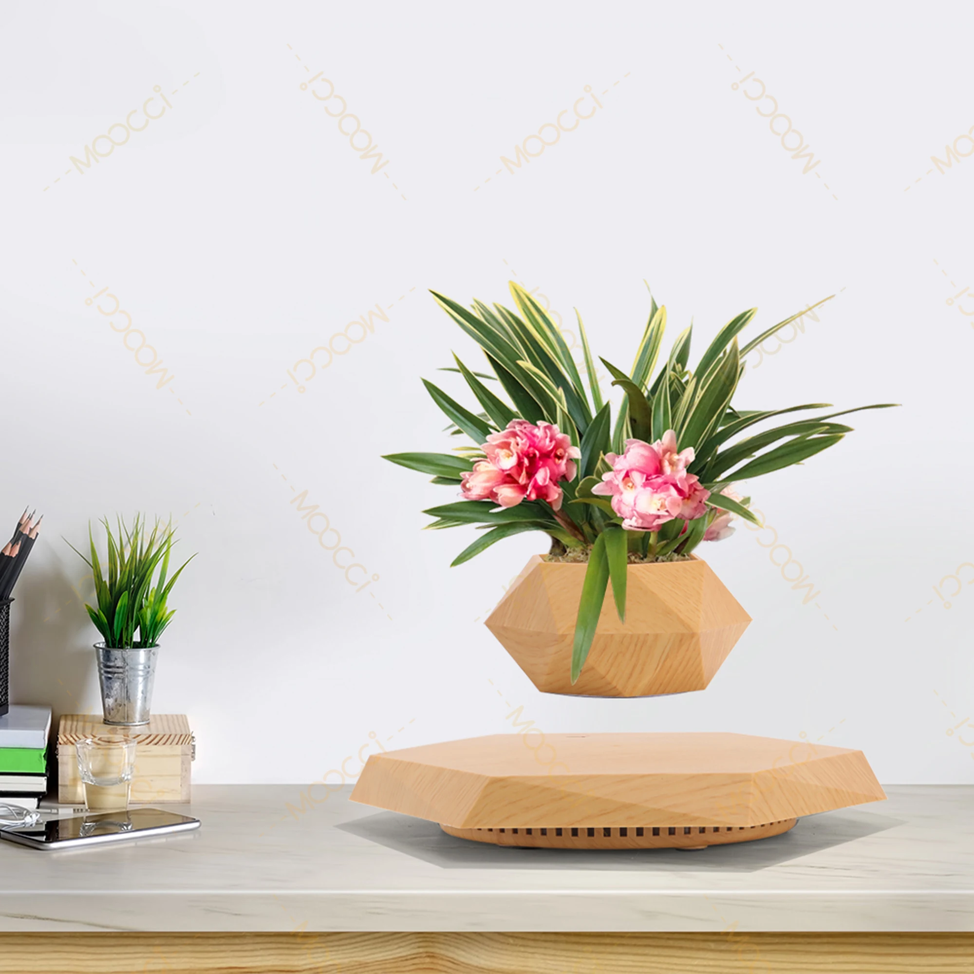 Flying Plant Pot (15)