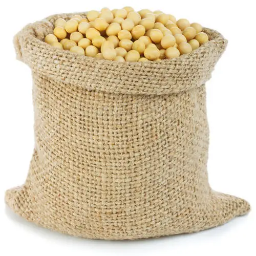 50kg Bag Sprouting And Food Grade Dry Yellow Soybean Seed Non Gmo