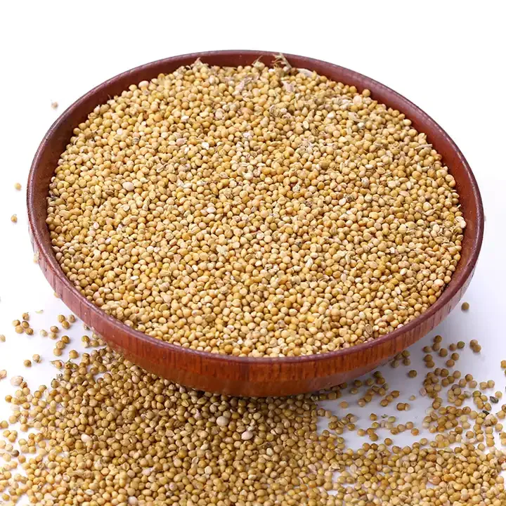 Fresh Crop 2023 Millet Bajra High Quality 100 Natural Millet Dry