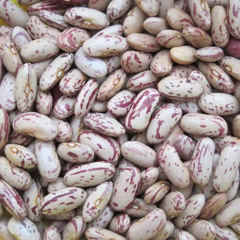 beansss.jpg