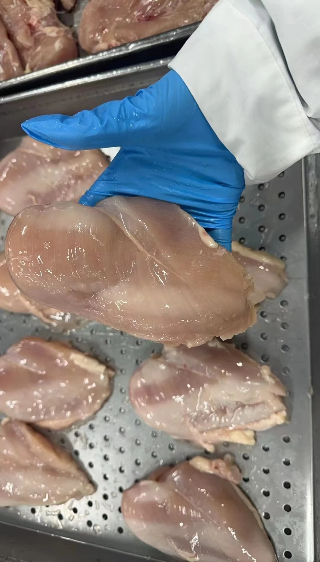 Wholesale Halal Certified Boneless Skinless Chicken Breast Best Price Frozen Chicken Fillets