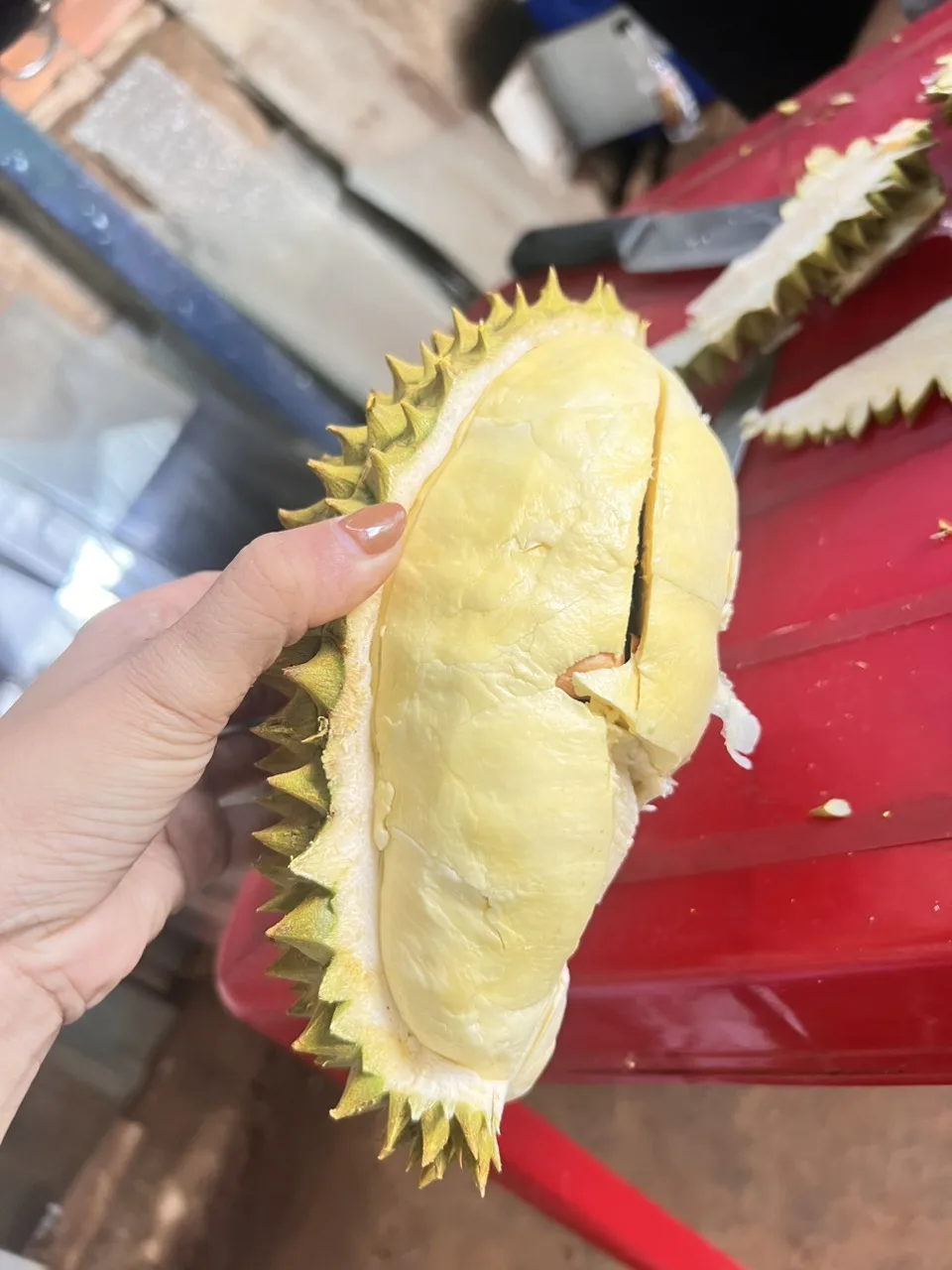 Frozen Durian Fresh Durian From Vietnam Premium Quality And Best Price