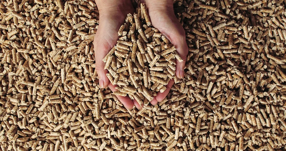 Mm Pine Wood Pellet Din Plus Oak Wood Spruce Pellets Beechwood Pellet