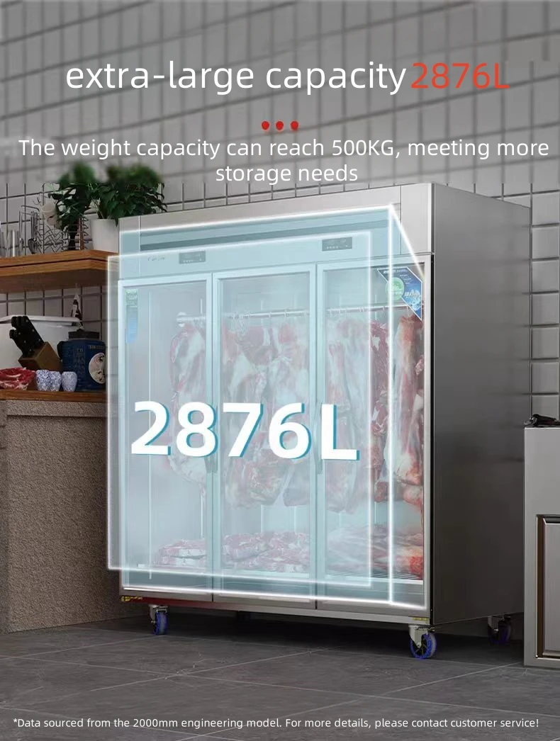 Hanging Meat Display Freezer, R290, Kitchen Equipment - detail 14