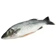 Fresh Barramundi Fillets Frozen Buy Cooking Barramundi Barramundi