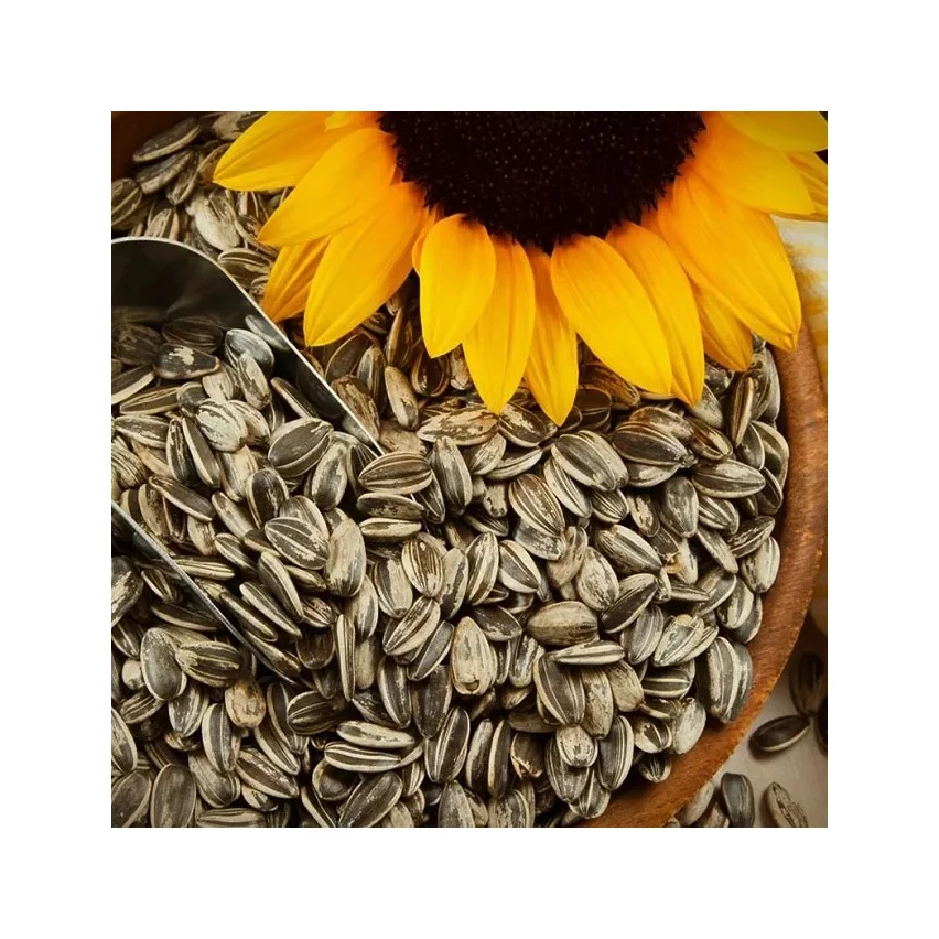 Different Types Of Sunflower Seeds Sun Flower Seeds Kernel Buy Best