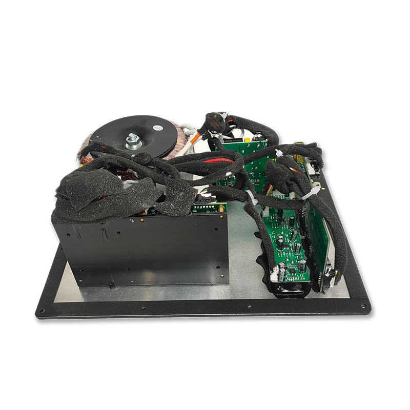 Class D Subwoofer Amplifier Board with 4 Ohm Output Impedance 30-200 Hz Frequency Response and Toroidal Power Supply