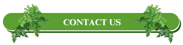 Contact Us (1).png