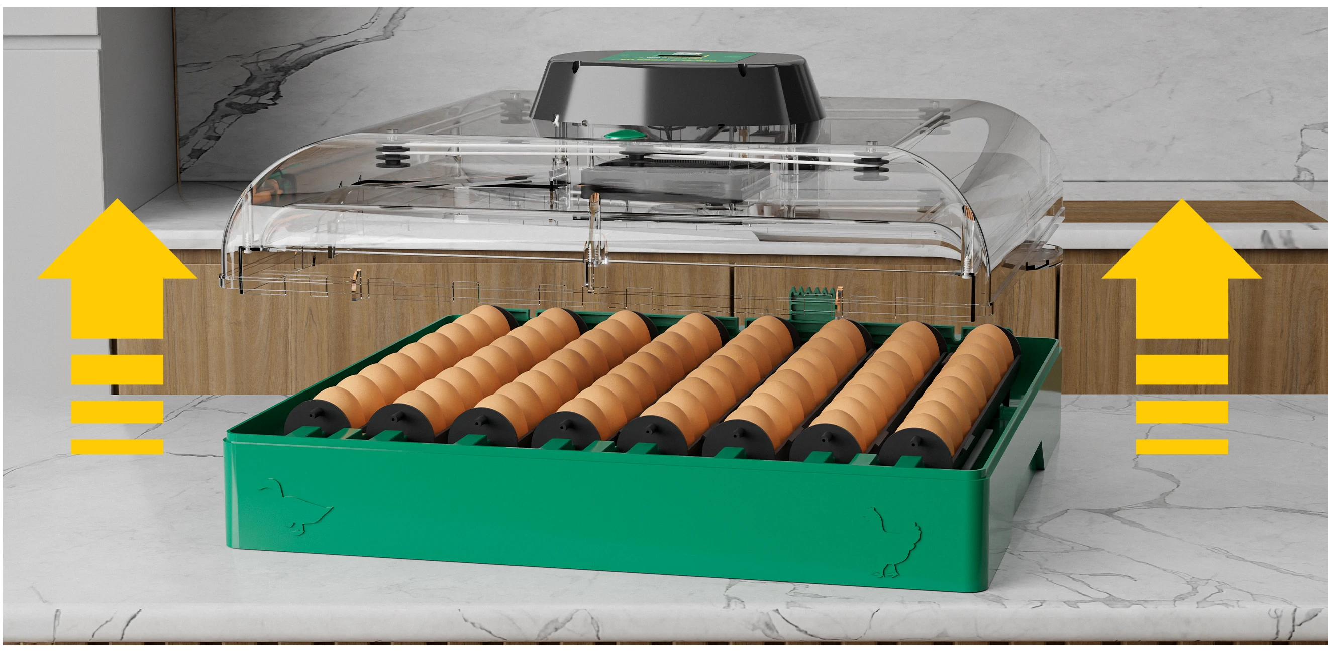 Eggs Capacity and Fan, PROFI, C-72 - detail 14