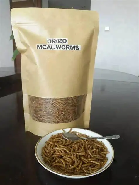 Dried Mealworm.14.jpg