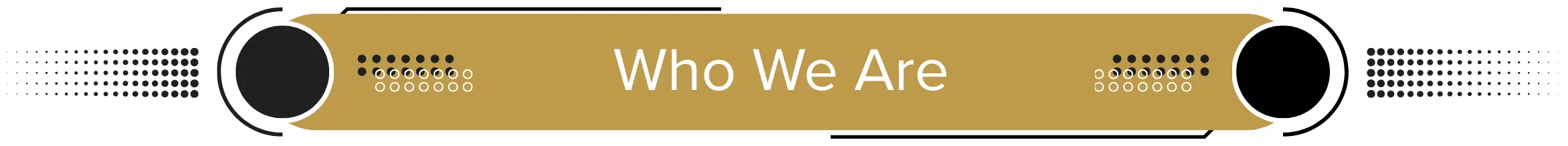 Who We are t.png