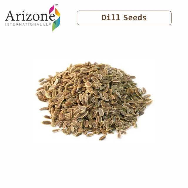 Dill Seeds 4.png