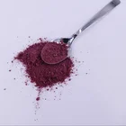 Organic Wild Blueberry Fruit Powder Pieces