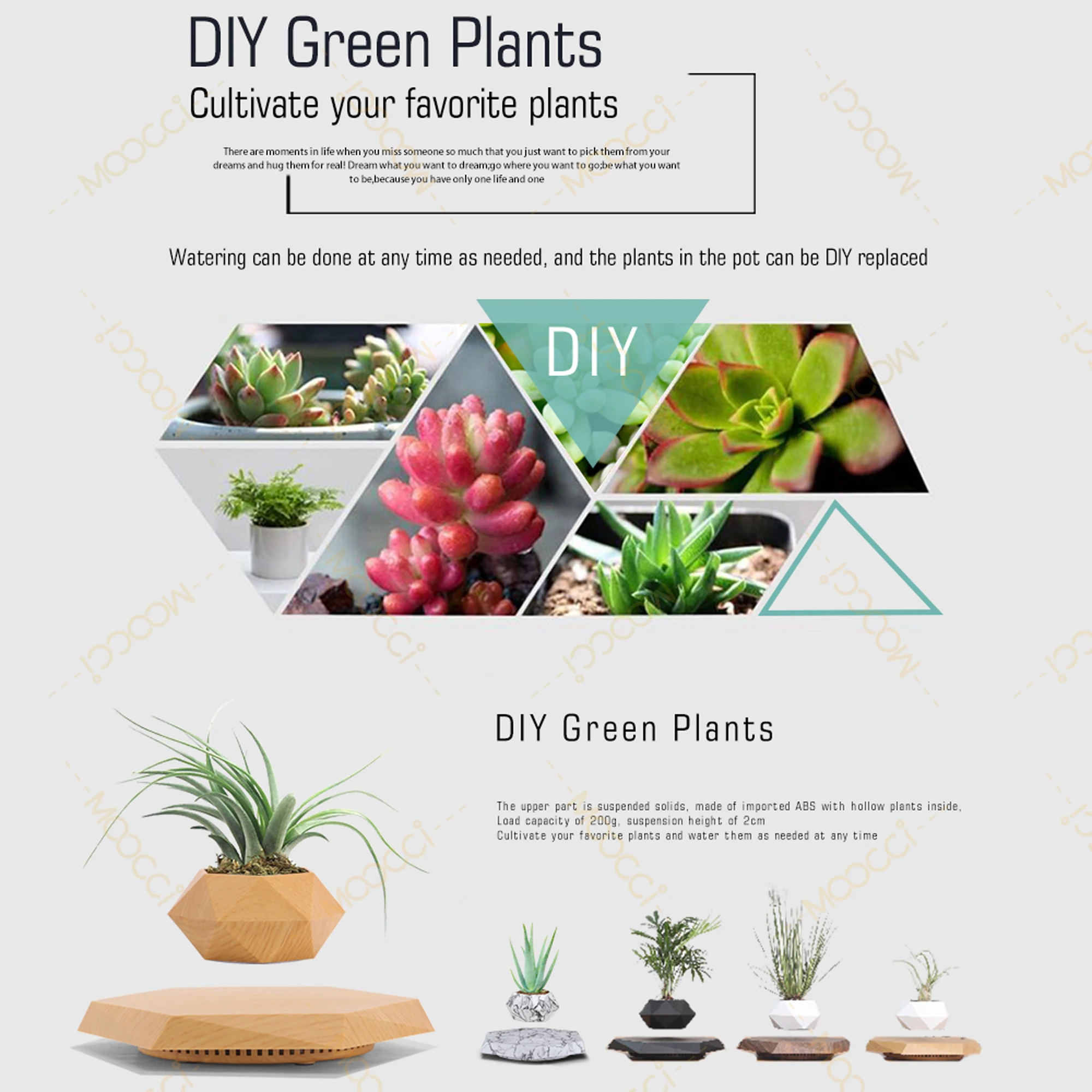 Flying Plant Pot (5)