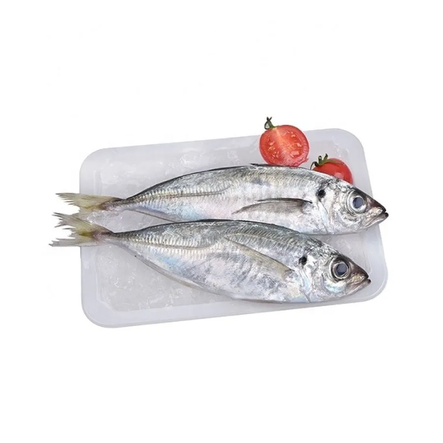 Land Frozen Mackerel Fish Sea Frozen Pacific Mackerel Fish Prices Whole Round