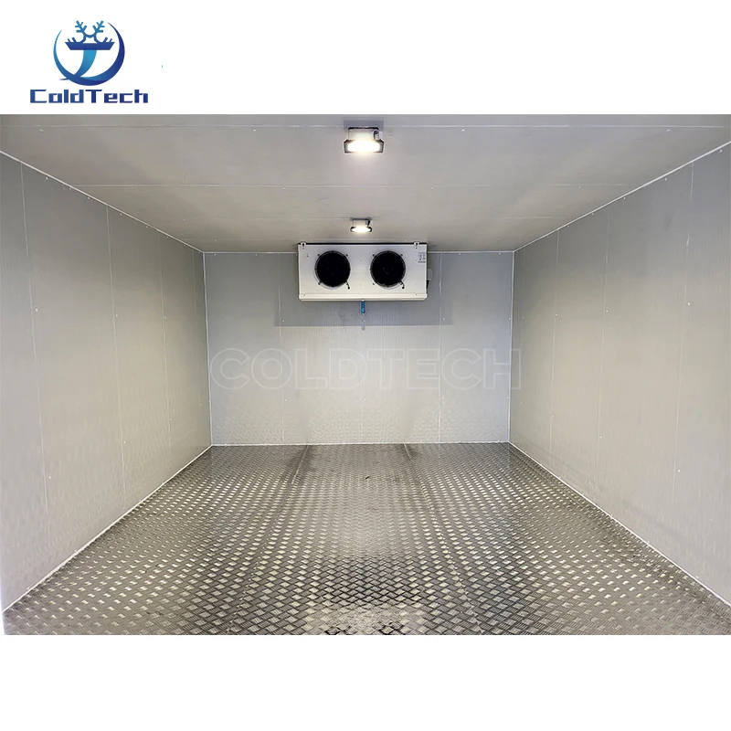 Freezer, 10*8*8Ft, 220V, R404a - detail 14
