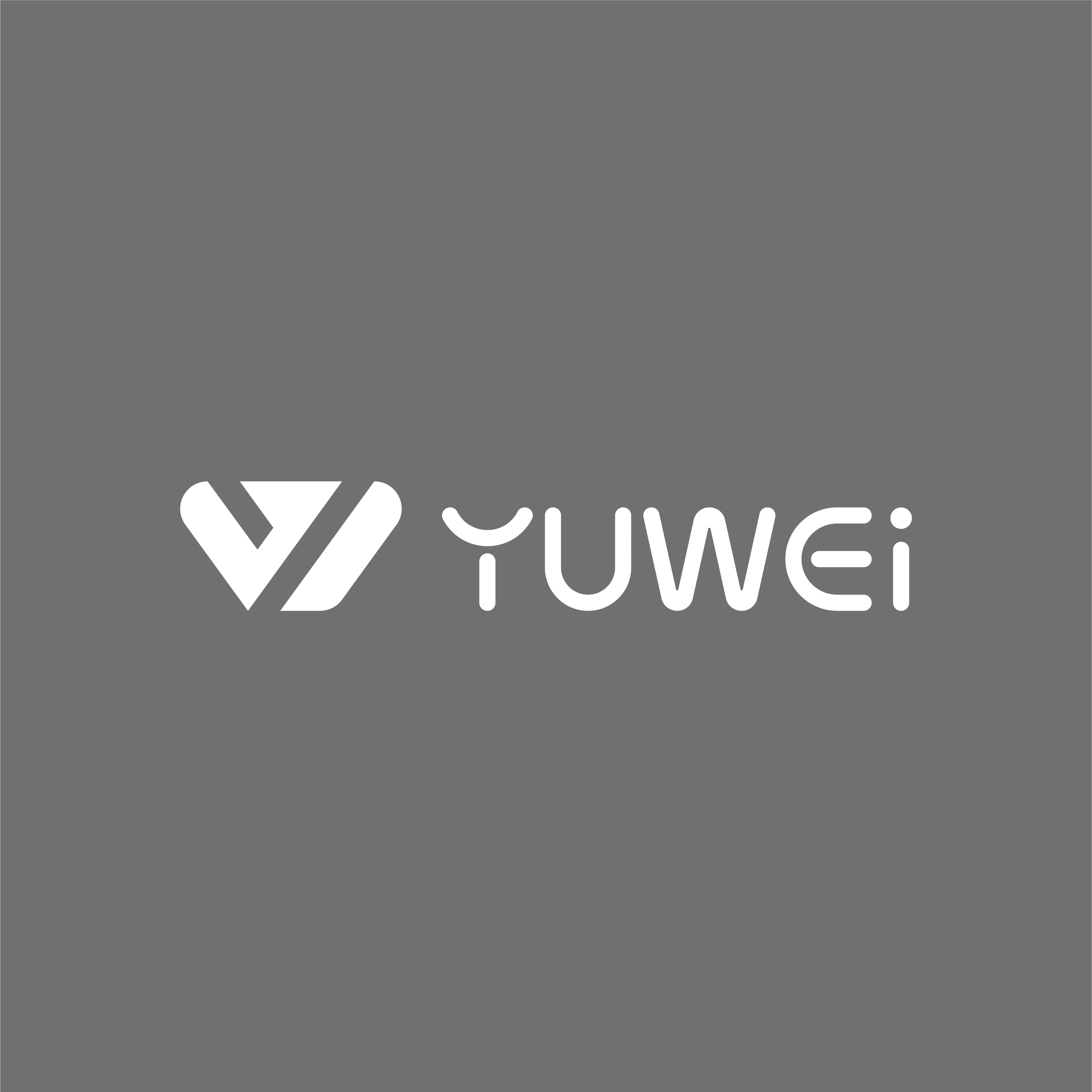 Company Overview Shanghai Yuwei Dental Materials Co Ltd