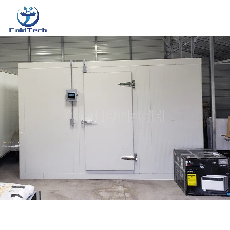 Freezer, 10*8*8Ft, 220V, R404a - detail 2