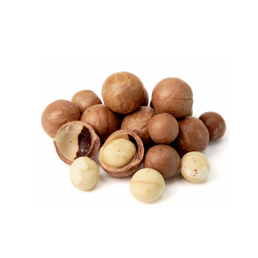 500g Shelled Dried GMO Macadamia Nuts Rich Nutrition Wholesale Prices