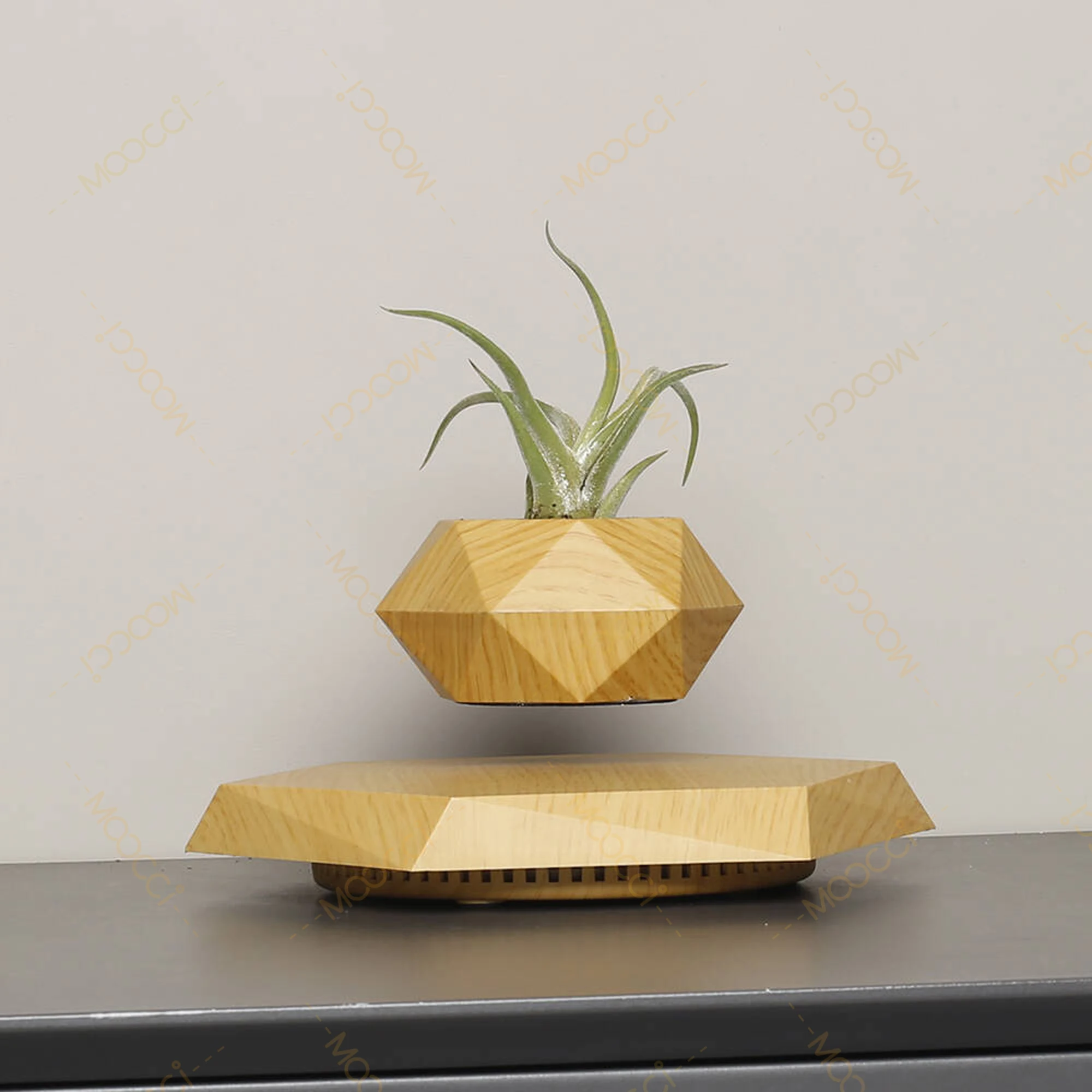 Flying Plant Pot (9)