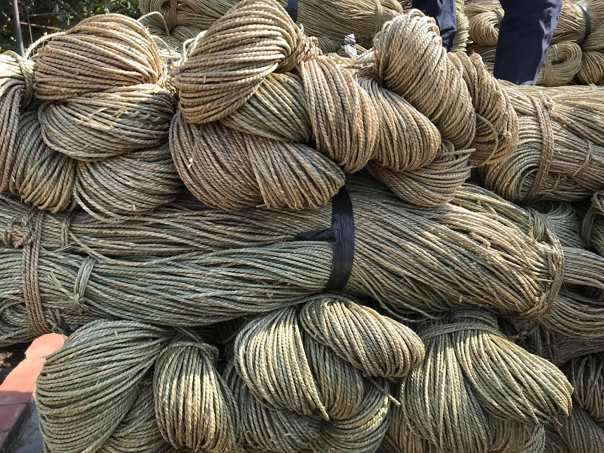 Natural Twisted Seagrass String Ropes For Sale Hand Weave Sea Grass