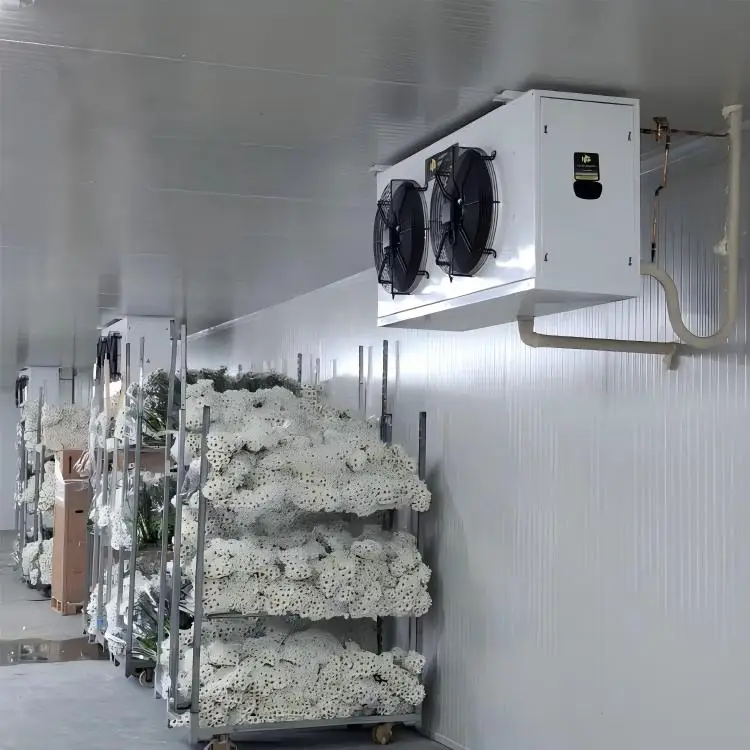 Condensing Unit, Solar, AC 220V~240V, > 1000W - detail 16