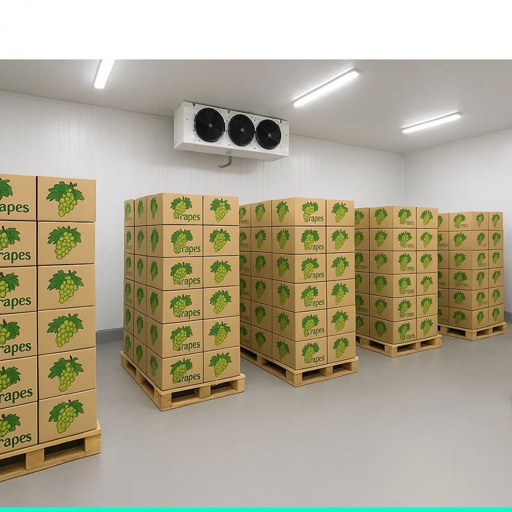 Condensing Unit, Solar, AC 220V~240V, > 1000W - detail 20