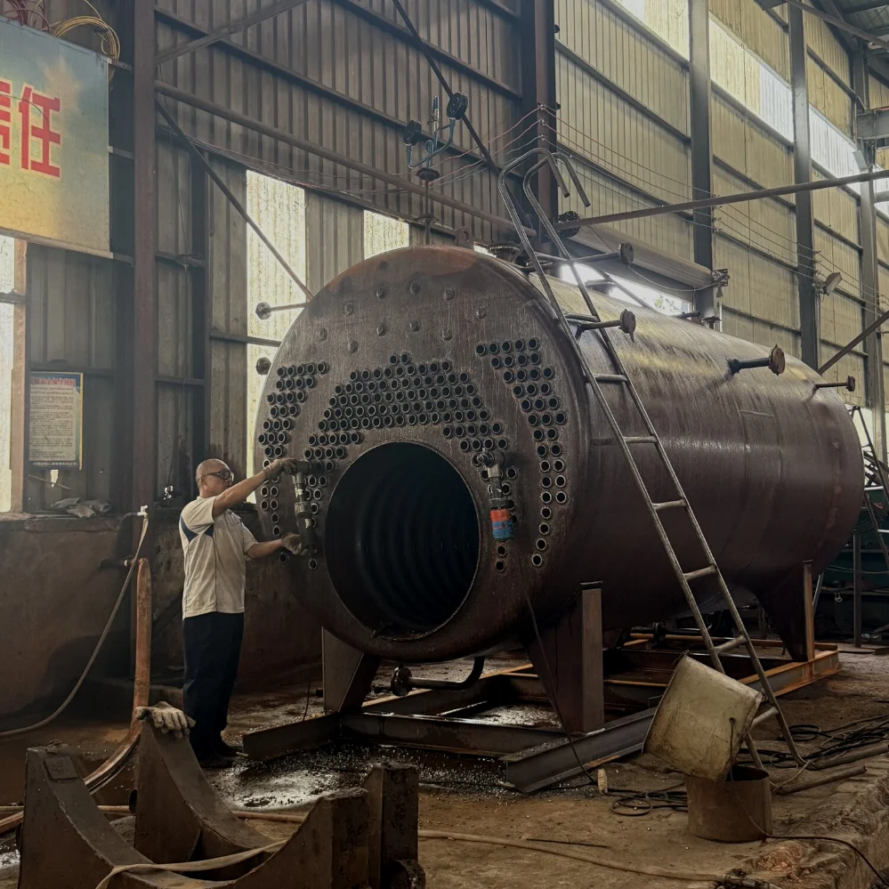Steam Boiler, AIX, WNS, 1-30Ton, Q245R - detail 42